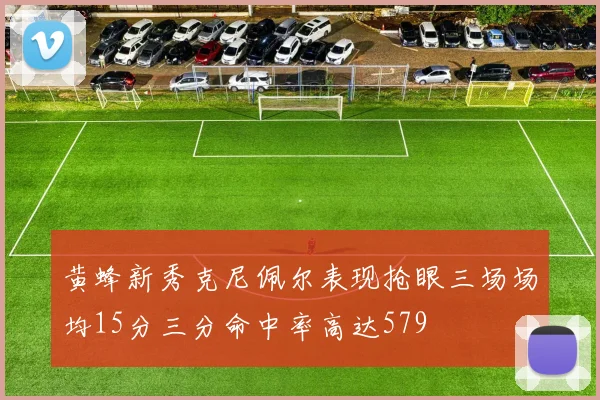 黄蜂新秀克尼佩尔表现抢眼三场场均15分三分命中率高达579