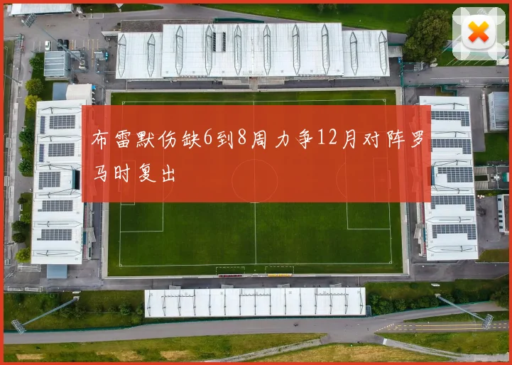 布雷默伤缺6到8周力争12月对阵罗马时复出