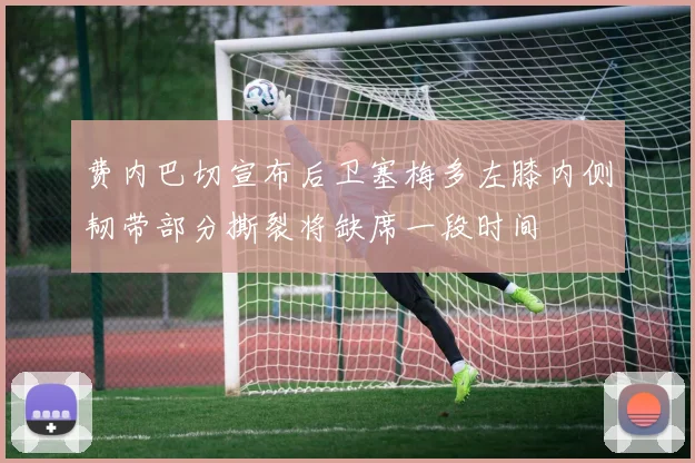 费内巴切宣布后卫塞梅多左膝内侧韧带部分撕裂将缺席一段时间
