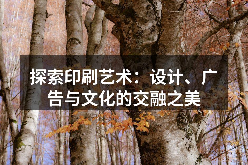 印刷艺术展览现场，展示了多样化的印刷作品